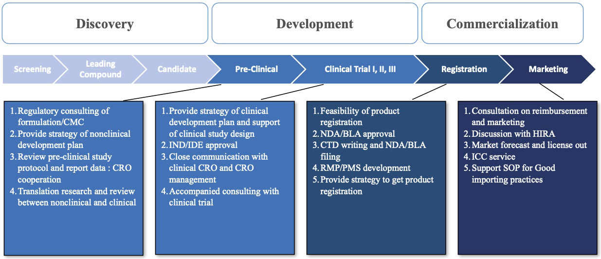 Meditip Consulting Scope